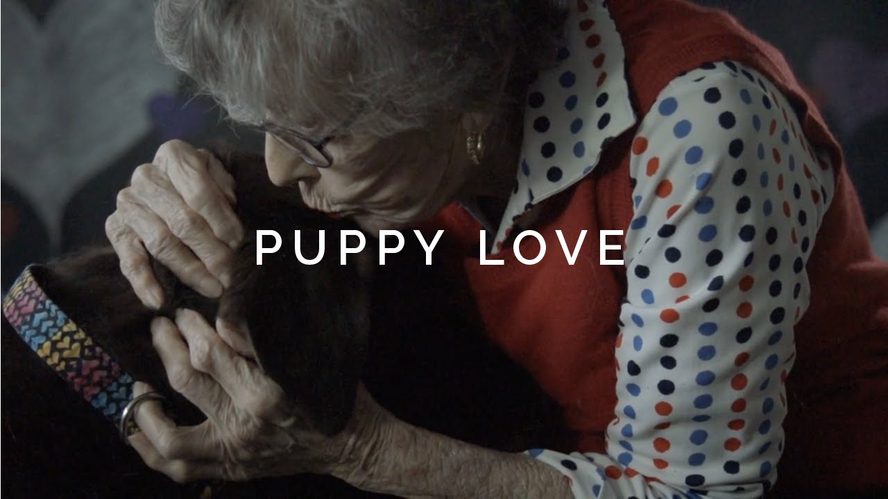 Puppy Love - Dog Kisses, Cuddles, and Licks in Slow Motion