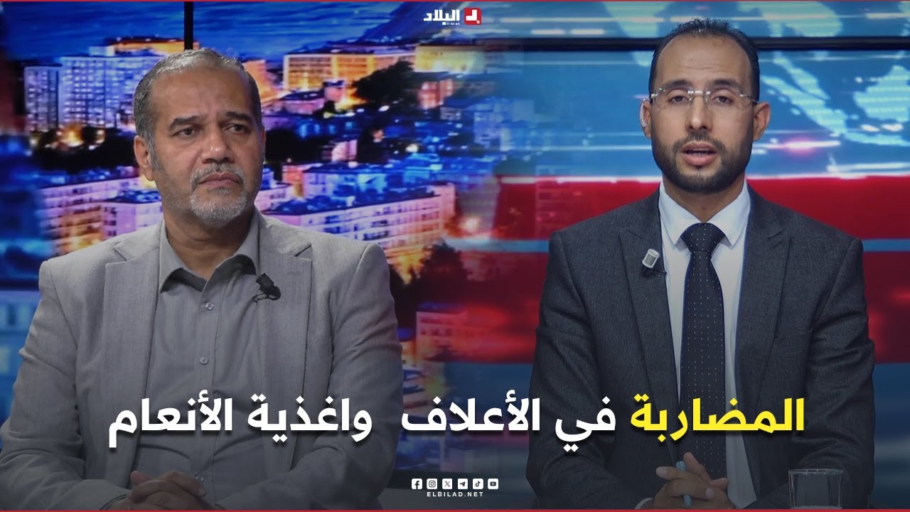 البلاد اليوم | المضاربة في الأعلاف واغذية الأنعام.. كيف أثرت على أسعار المواشي واللحوم