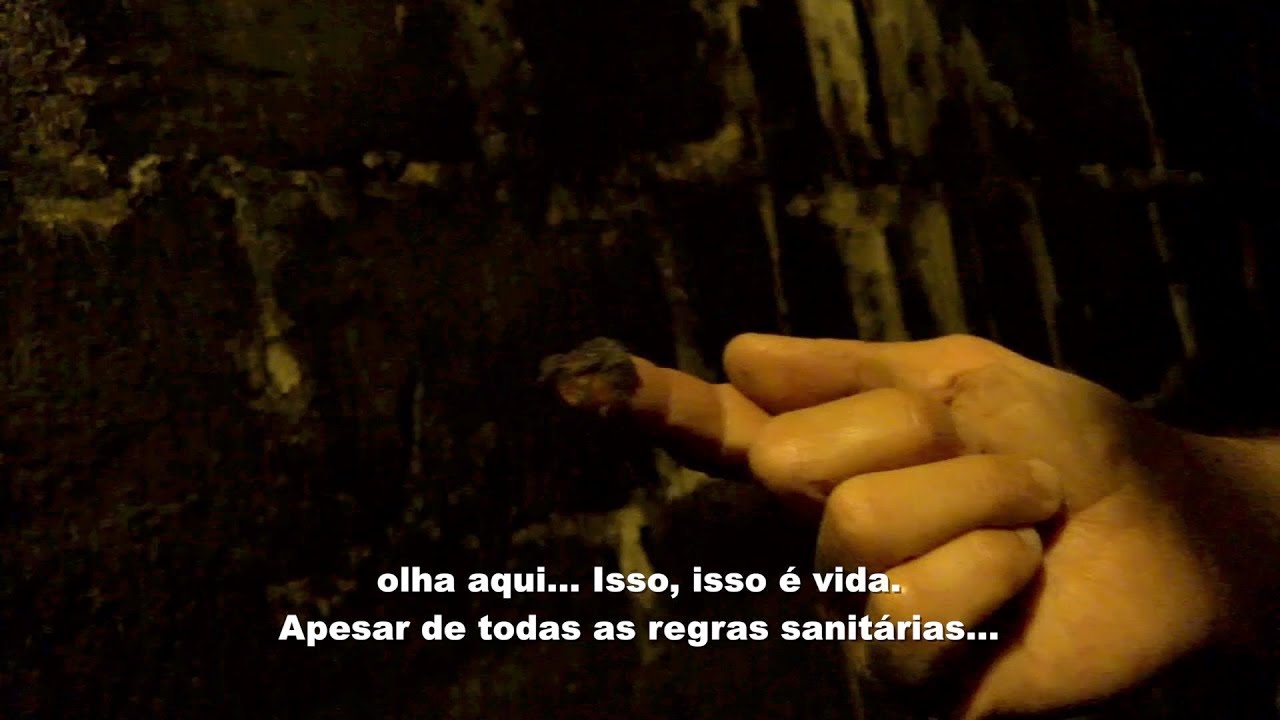 Os micro organismos na vin&iacute;cola de Raffaello
