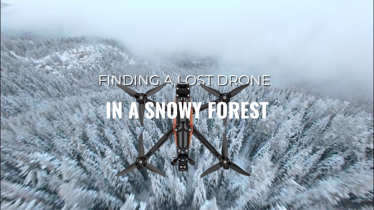 I Lost My Drone in a Snowy Mountain Forest... And This Is What Happened