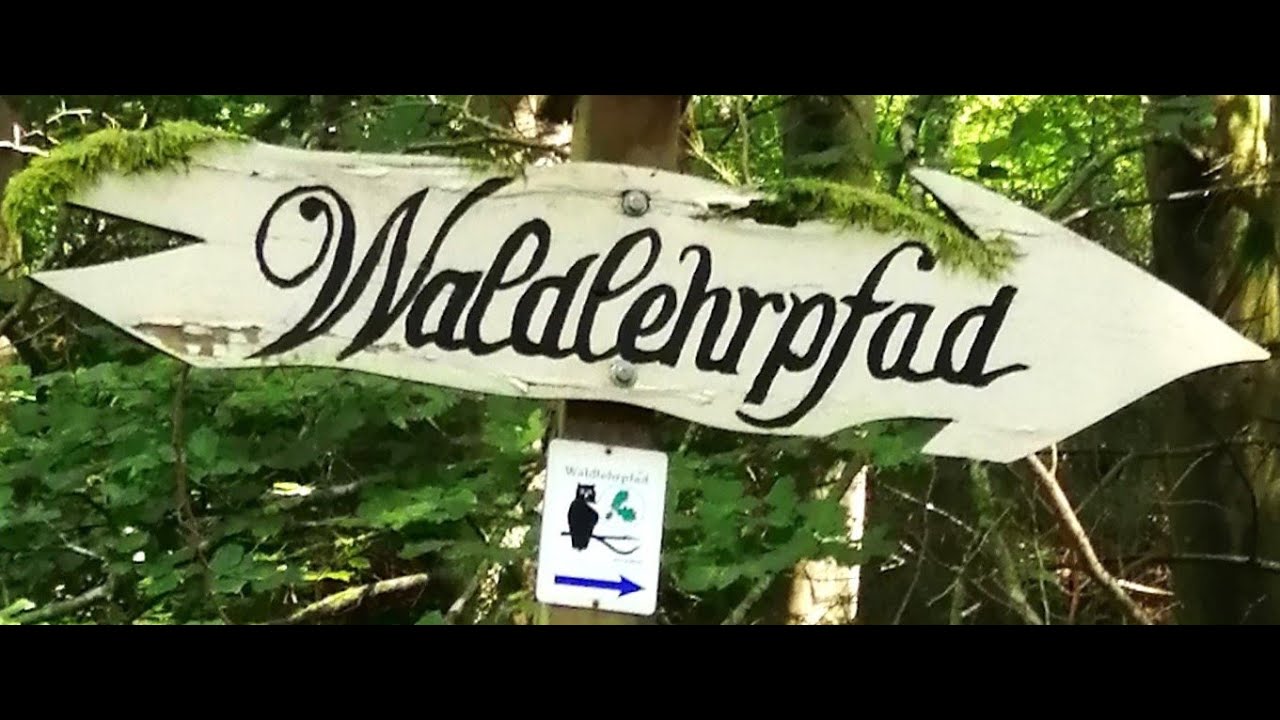 Auf den Spuren des Waldlehrpfades Kleinwallstadt