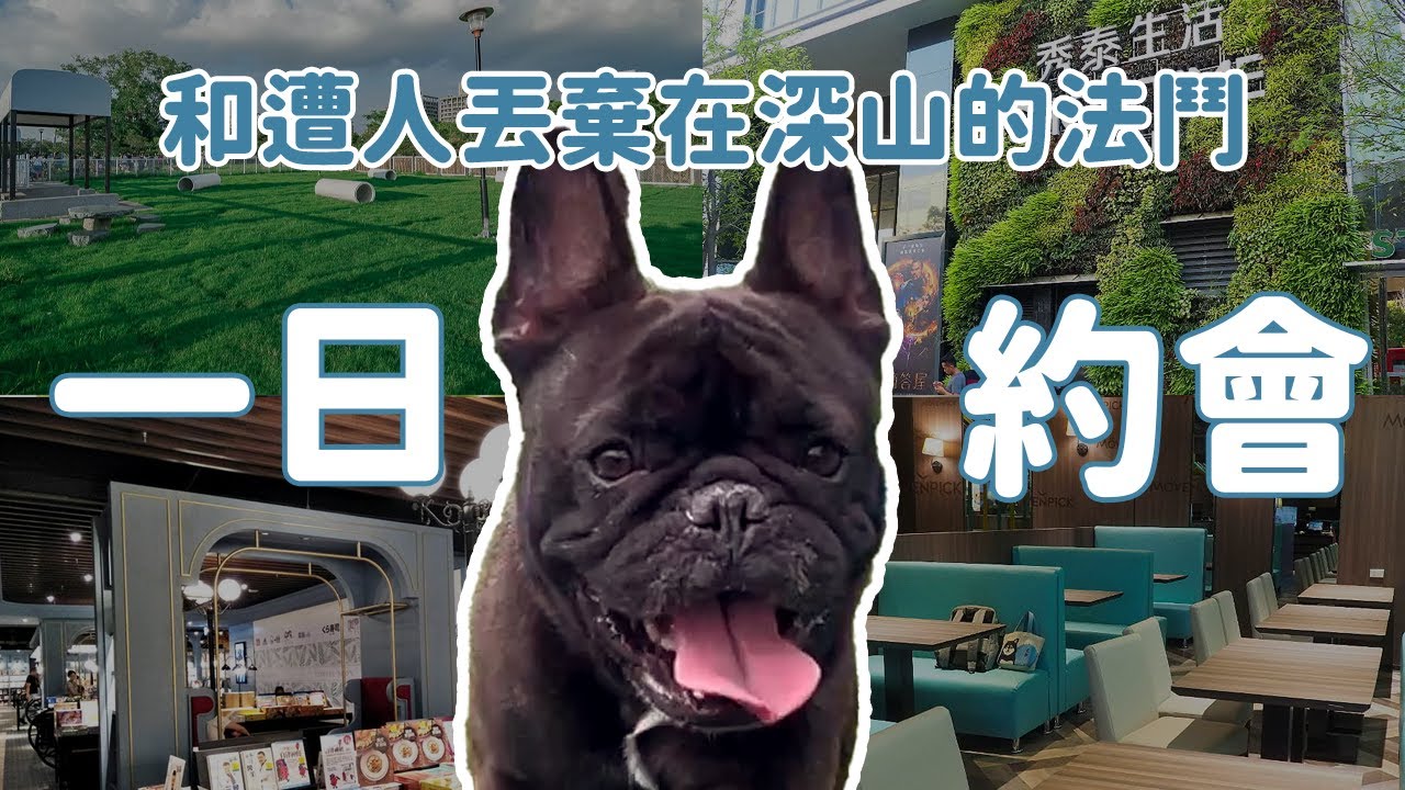 和遭人丟棄在深山的法鬥一日約會｜明日回家之星