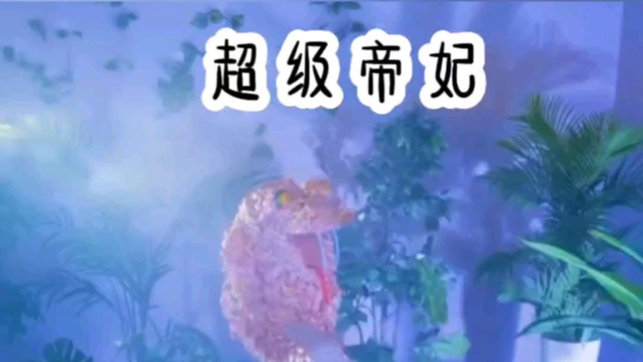 铭《超级帝妃》超爆小故事 《破碎规划》 #女生必看 #小说推荐 #推文 #小说推荐