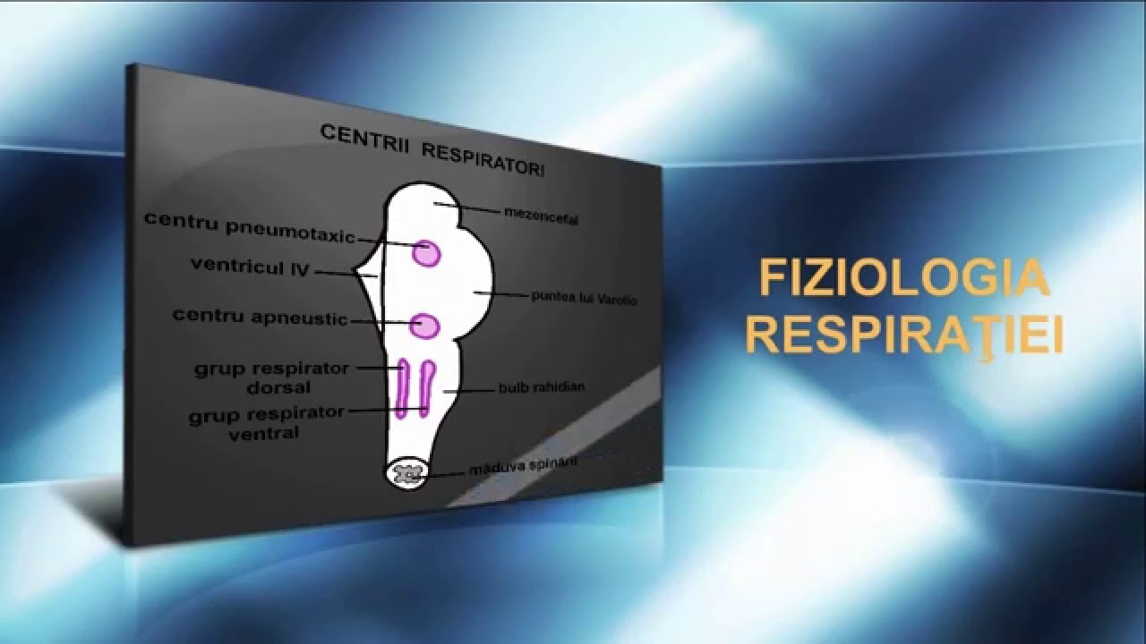 Lecția 30: Fiziologia sistemului respirator