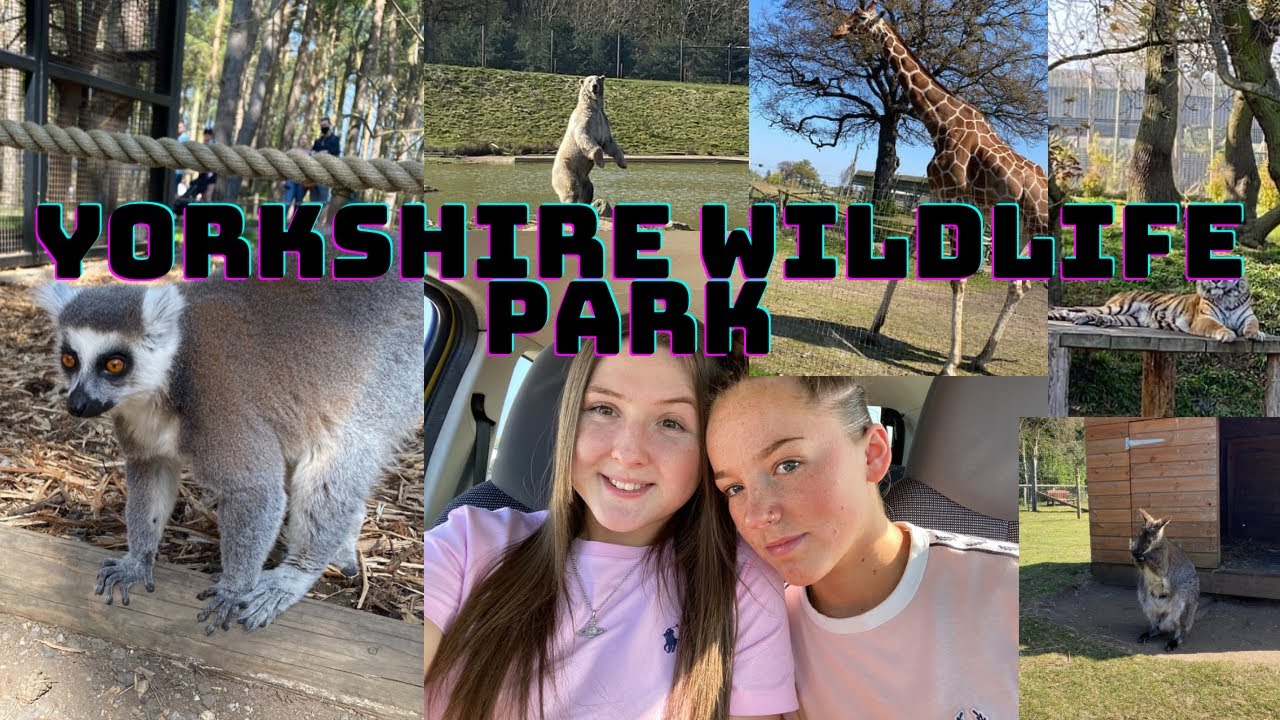 Yorkshire Wildlife Park!! Katylee and Libby