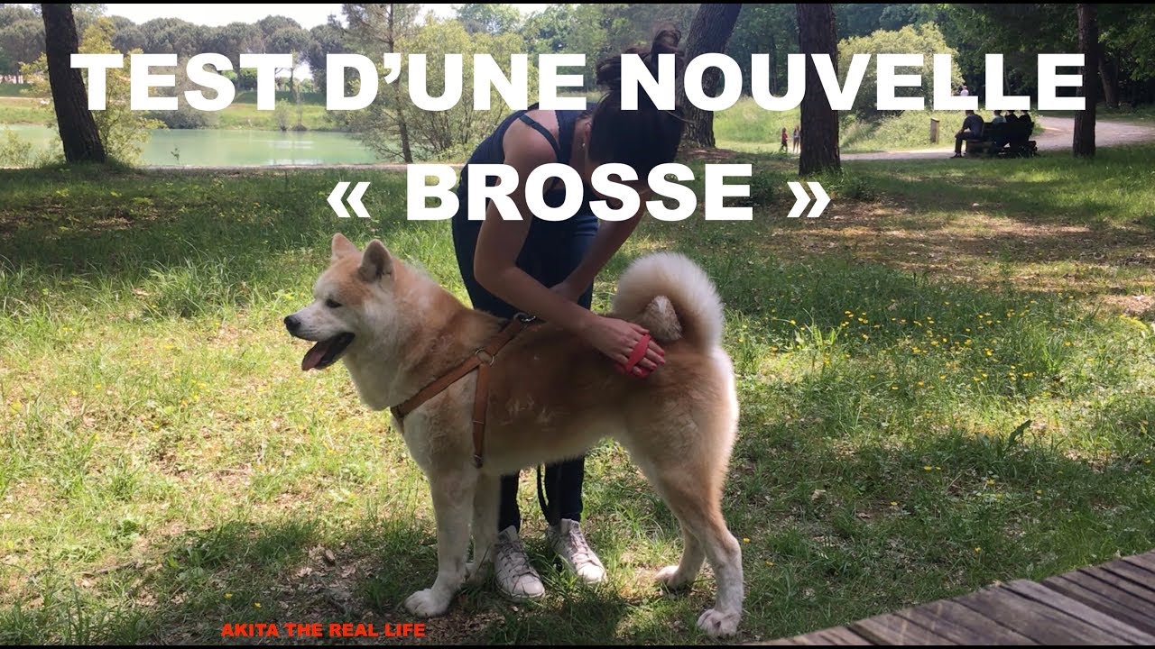 TEST D'UNE NOUVELLE 