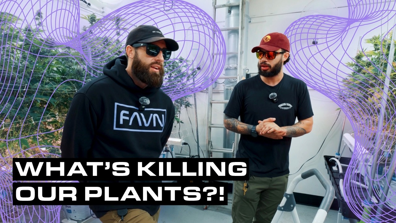 What's Killing Our Plants?! - GRW EP008