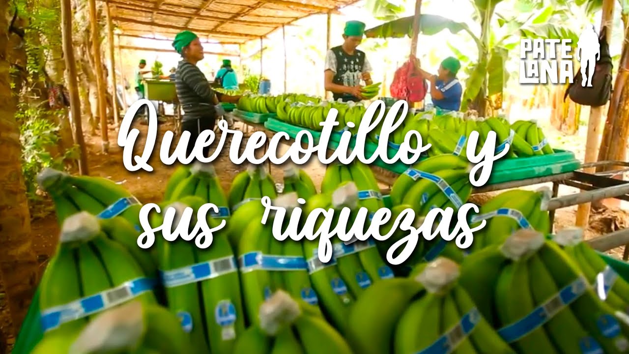 EL ENCANTADOR QUERECOTILLO😌😜| PATELANA  #turismo #sullana #querecotillo
