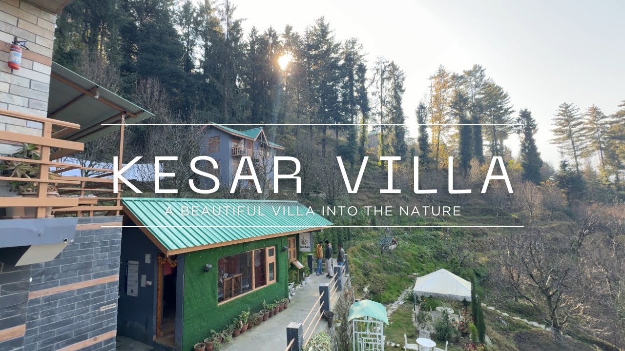 Hidden Apple Orchard Stay in Naggar | Kesar Villa Near Forest | Beautiful Himachal Property