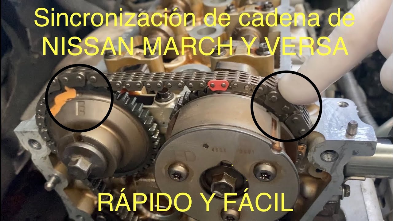 Sincronización de cadena de distribución de NISSAN MARCH Y NISSAN VERDA 1.6  🚗