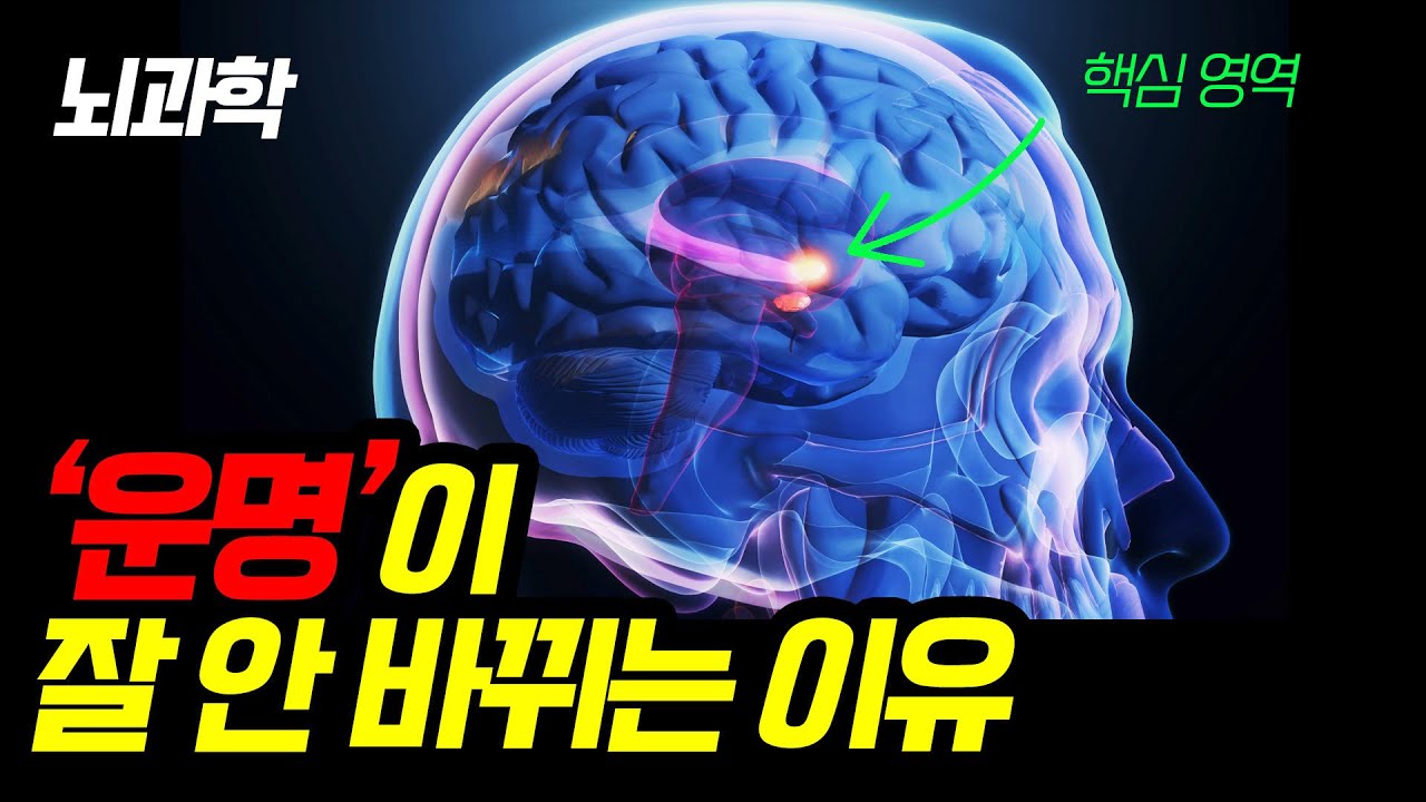 이것을 바꿔야 운명이 바뀐다 | 뇌과학