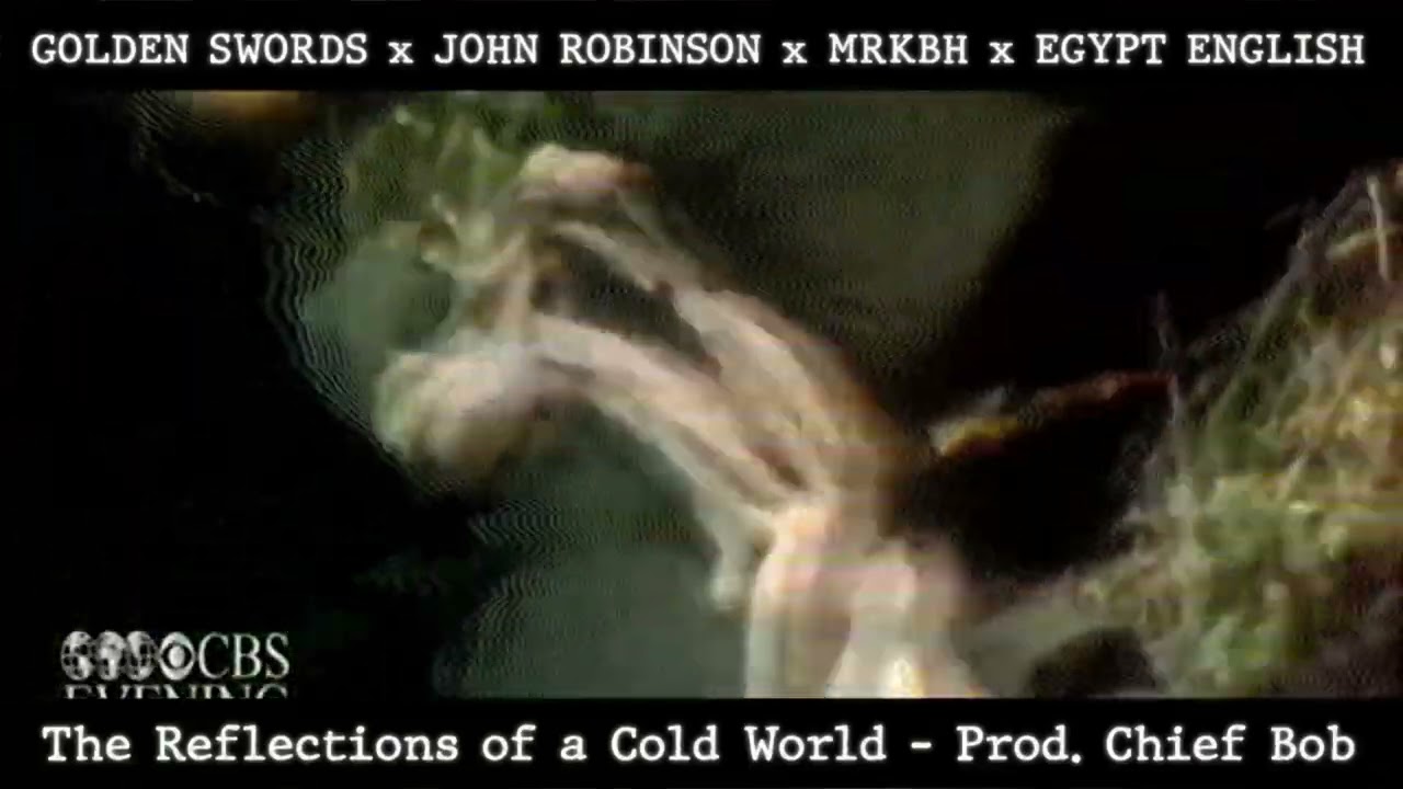 the reflections of a cold world ft john robinson mrkbh egypt english prod chief bob