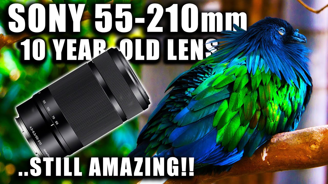 Sony 55-210mm Telephoto Lens Review - Still Valuable after a Decade!