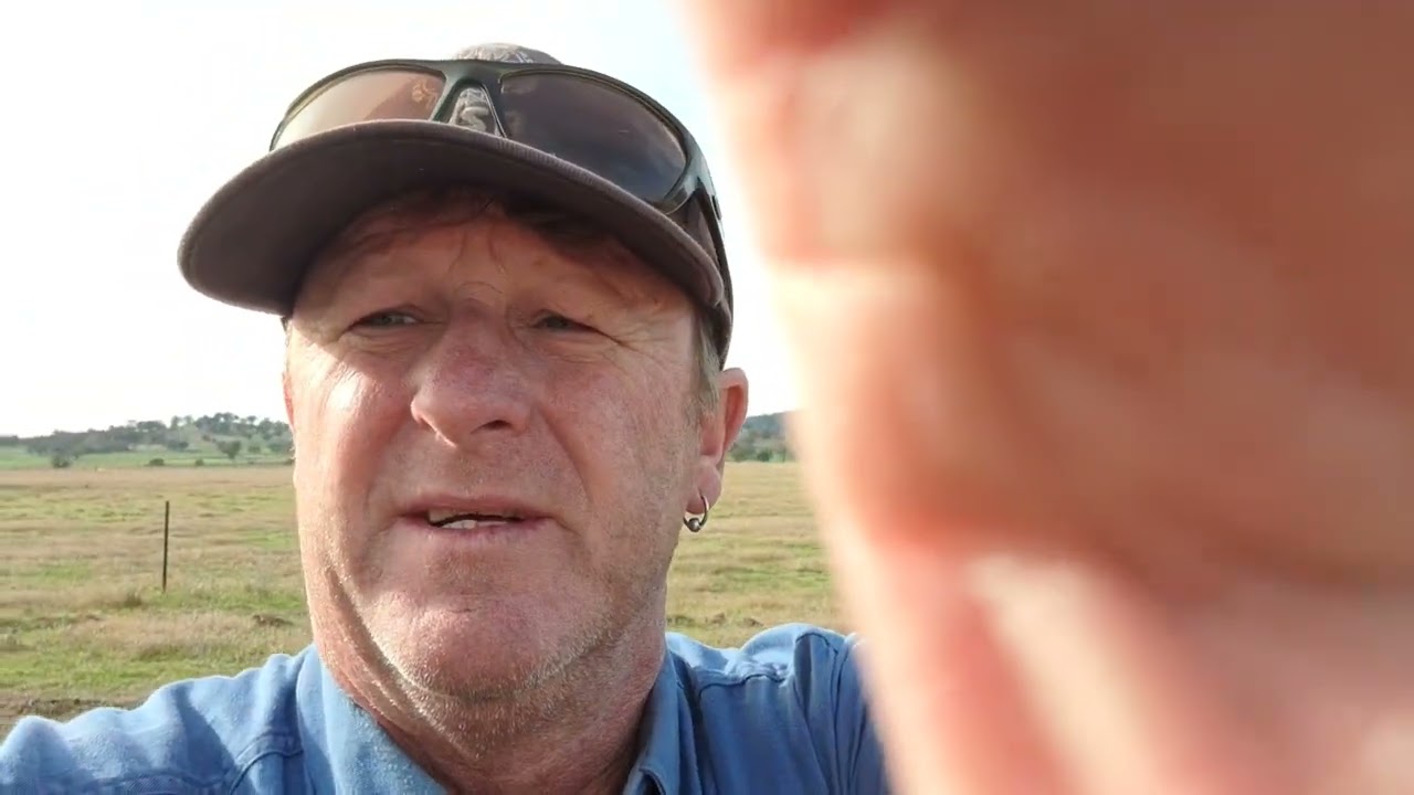 kestrel Park farm, squirrel glider sites episode 2
