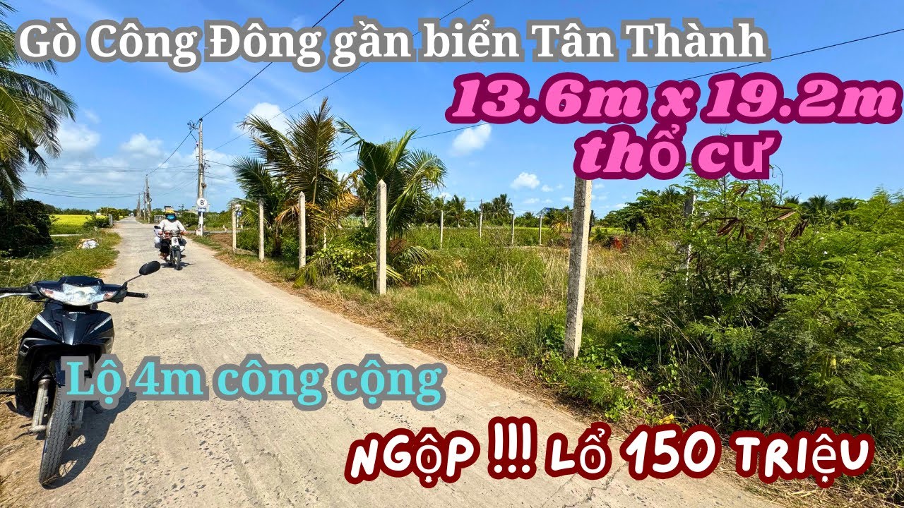 MS1988: Gấp!! Gò Công Đông 13.6M x 19M thổ cư bán lổ