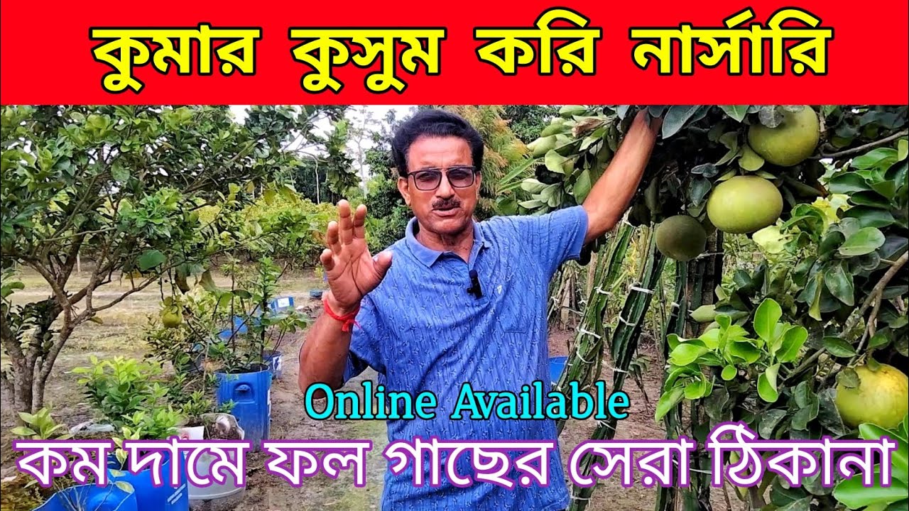 Kumar Kusum Kari nursery || কম দামে ফল গাছের সেরা ঠিকানা || Online Available || Part - 1 ||