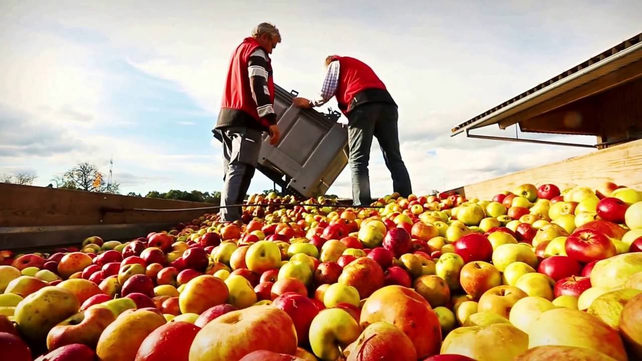 Obstannahme Gomaringen 15.10.2016