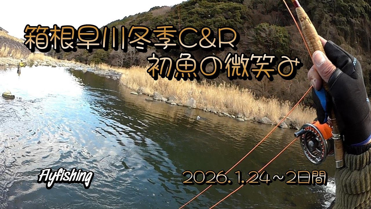 箱根早川冬季C&R　初魚の微笑み　2026.1.24～2日間　Flyfishing