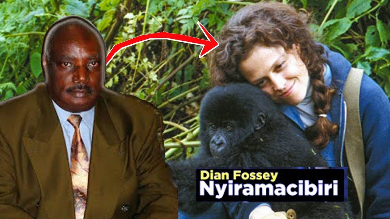 Yicishije Umuzungukazi “Nyiramacibiri