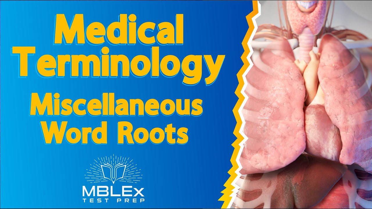 Medical Terminology - Miscellaneous Word Roots