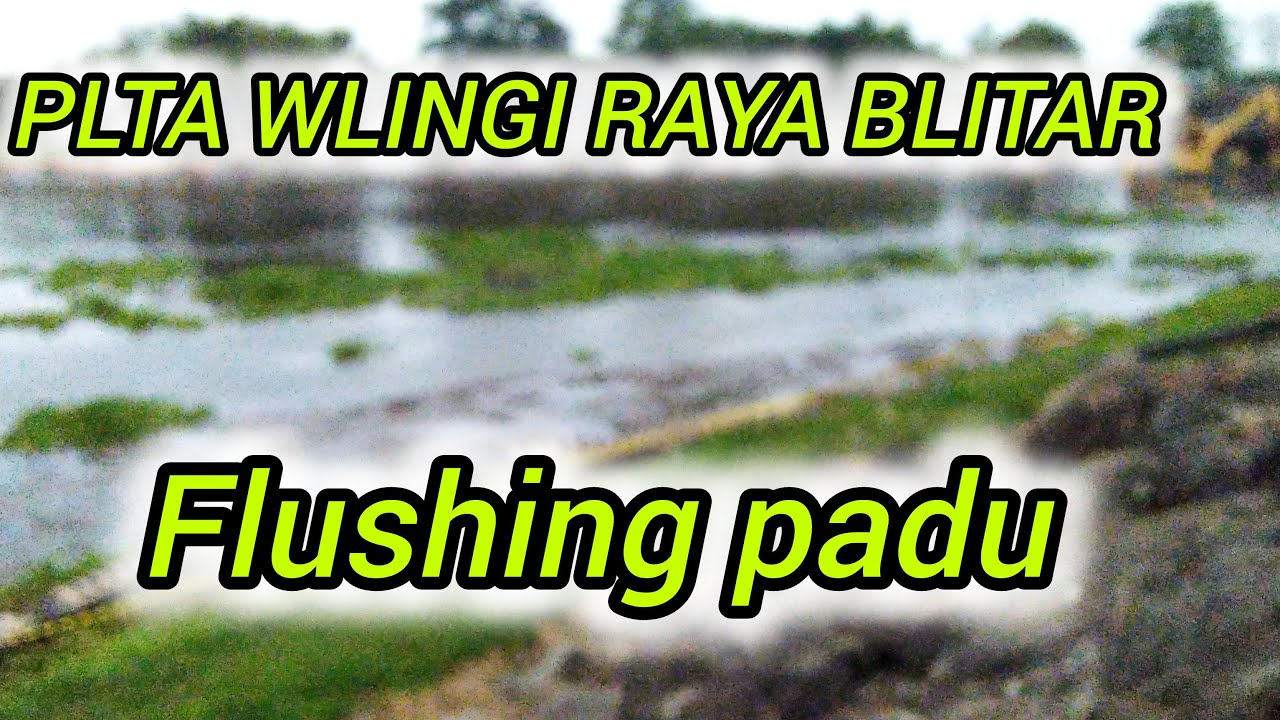 LIVE FLUSHING PLADU BENDUNGAN PLTA WLINGI RAYA BLITAR