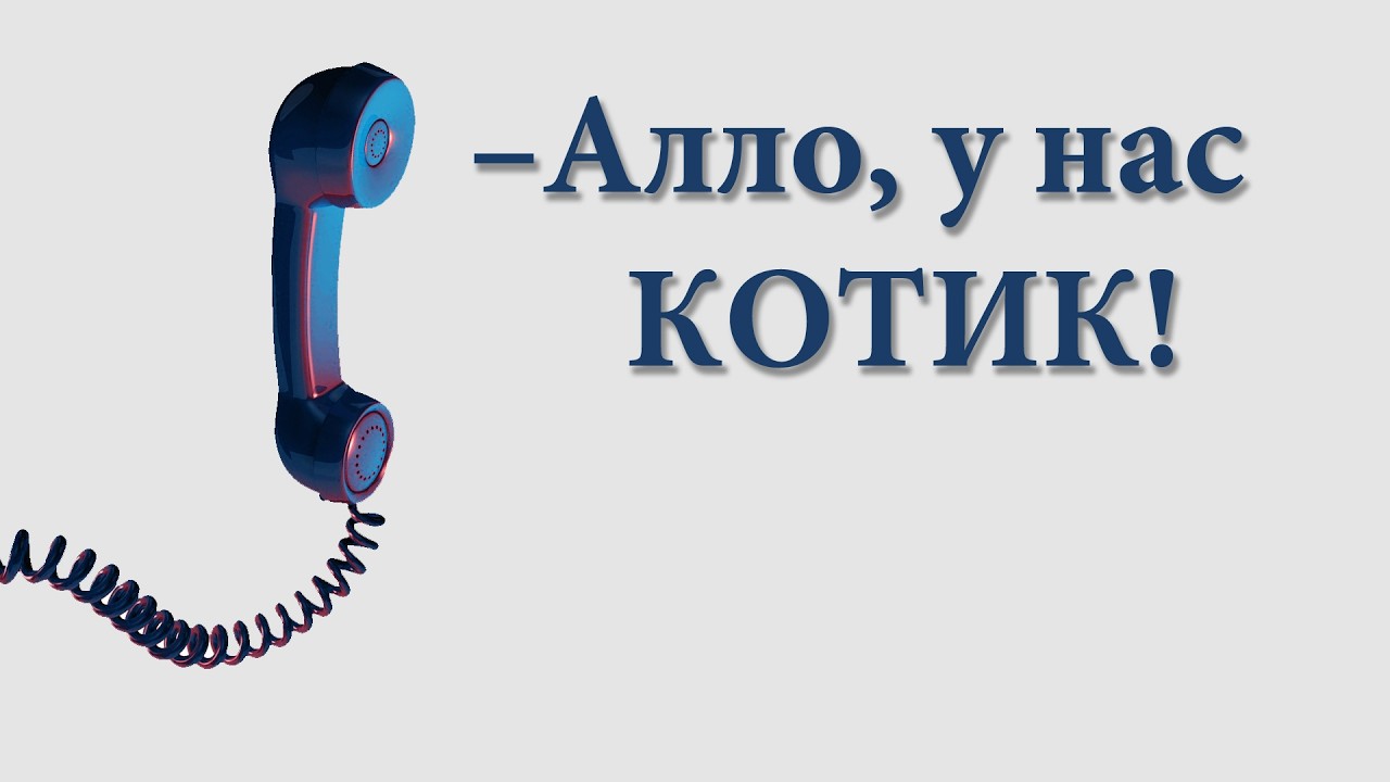 Алло, у нас котик - 38