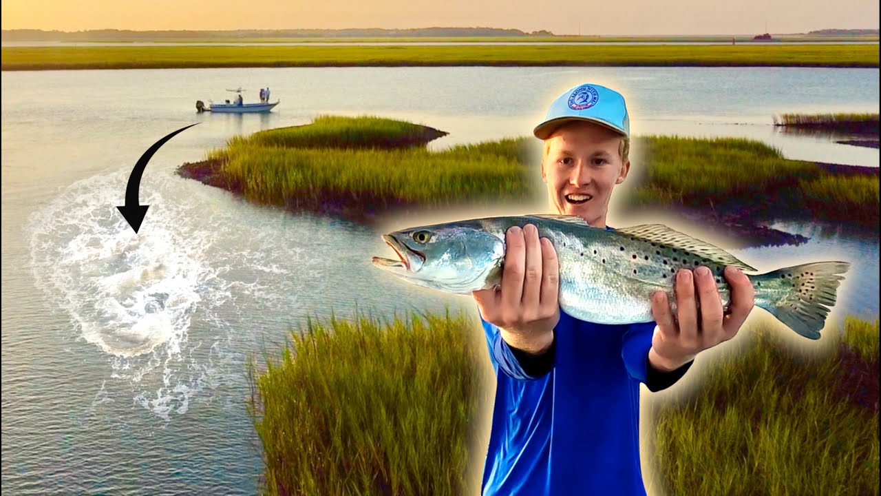 Inshore Fishing in the Lowcountry Salt Marsh! Big Fish, Sharks, Dolphins, Sea Turtles, and More! 4K
