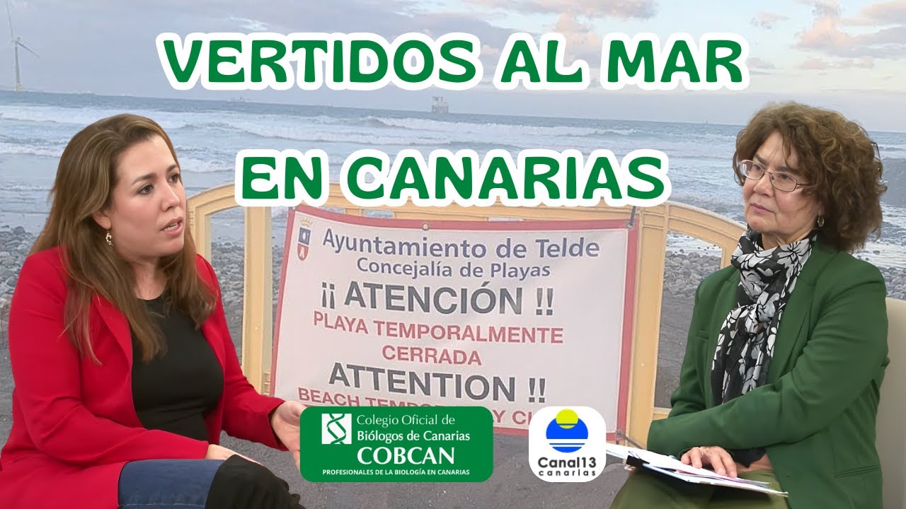 VERTIDOS AL MAR EN CANARIAS: qué se analiza, quién controla y cómo proteger el ecosistema marino