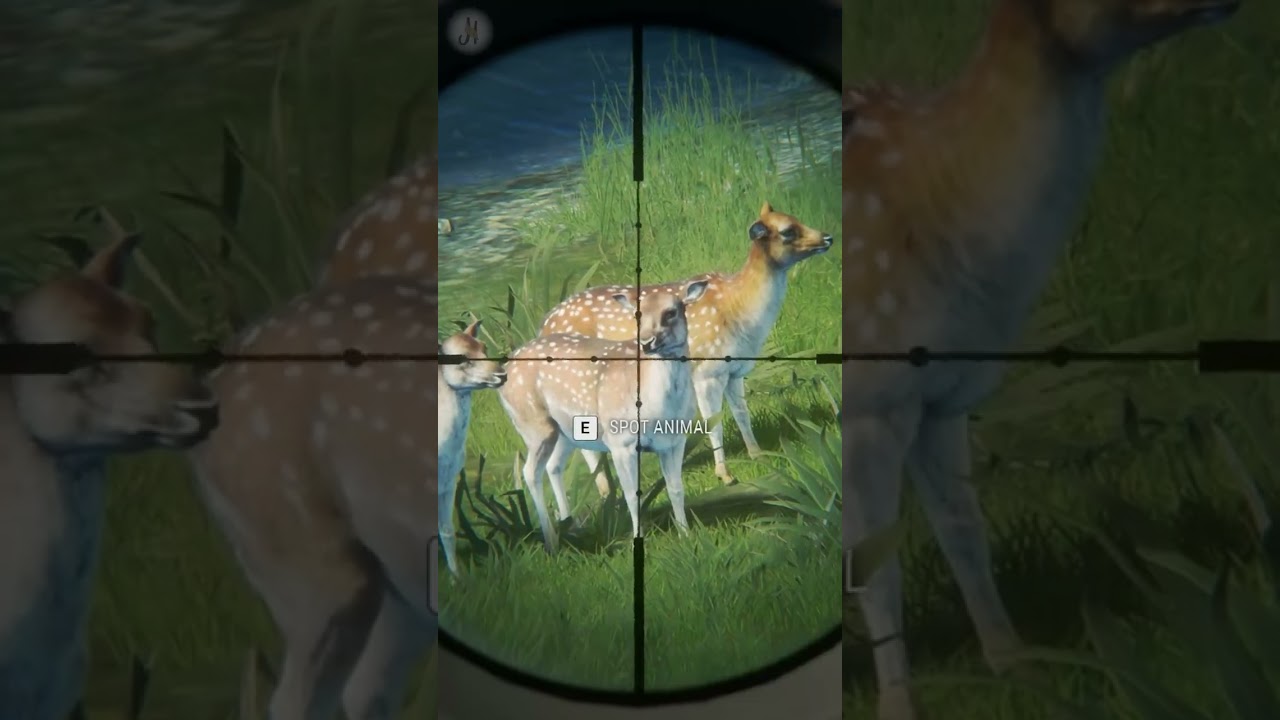 Do THIS if You Wanna RUIN Your Grind❗😱😱 Big Mistakes Te Awaroa the Hunter Call of the Wild #shorts