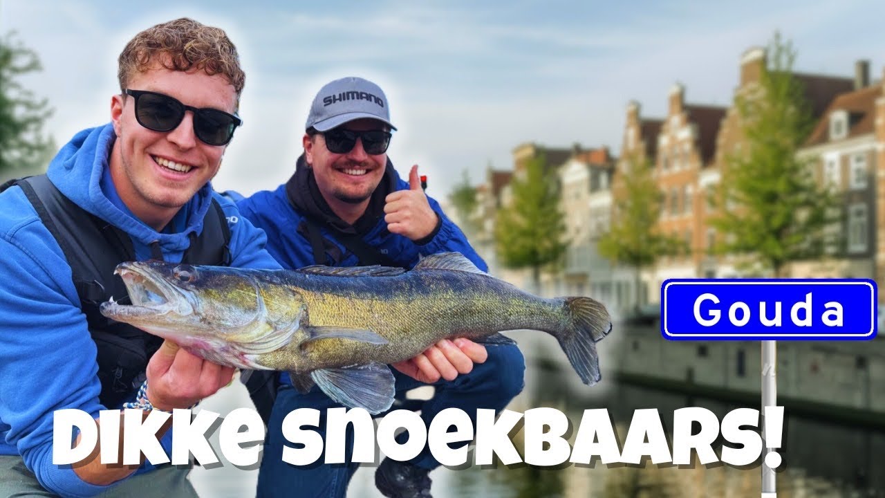MONSTER SNOEKBAARS! - STREETFISHING in GOUDA met FISHING WITH CALVIN! | VISbazen #47