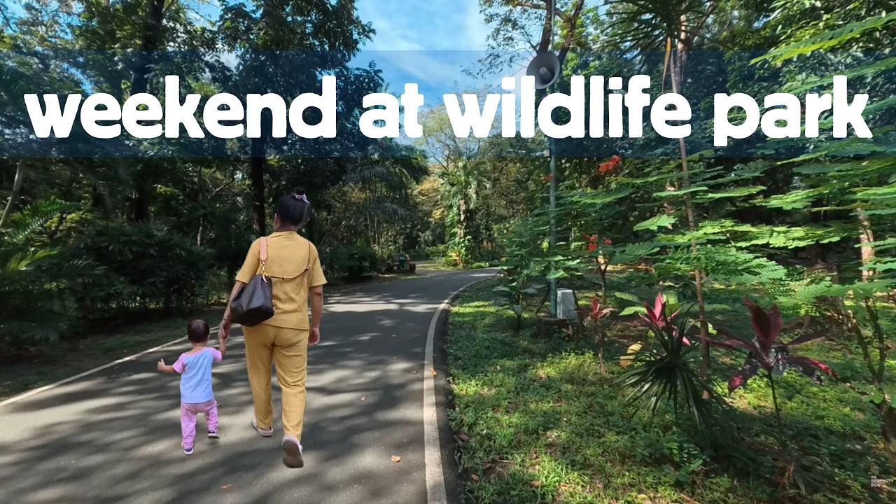 POV Walk in Wildlife Park 🇵🇭 | Real Jungle Vibes in the Metro | No Talking, Raw Sound, Family Walk