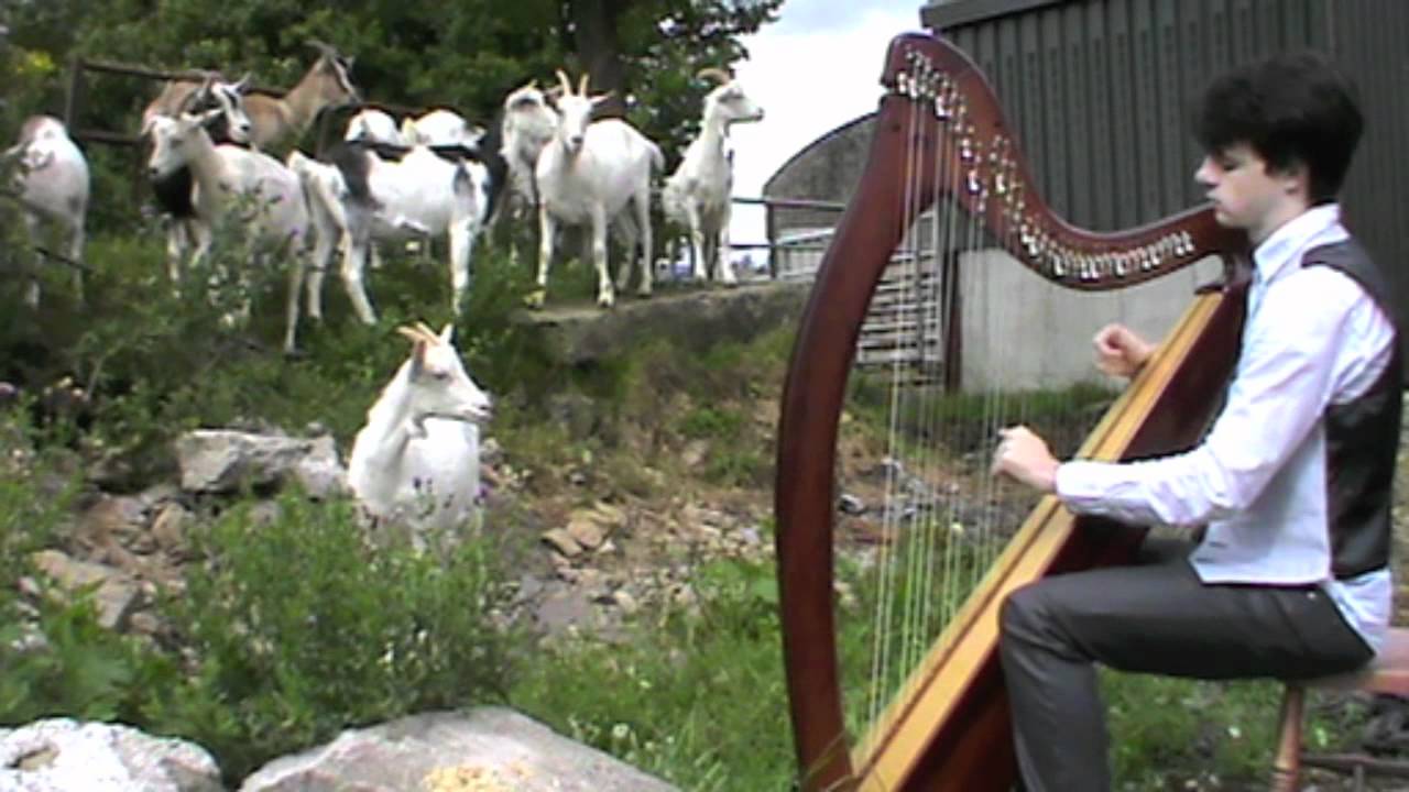Fiachra - The Kid On The Mountain