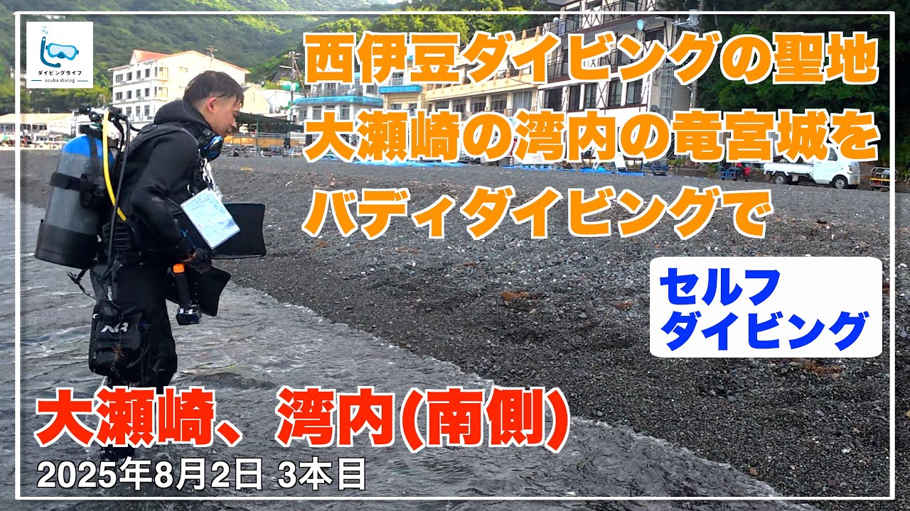 西伊豆ダイビングの聖地！大瀬崎でセルフダイビングしてきました【伊豆ダイビング/スキューバダイビングvlog】