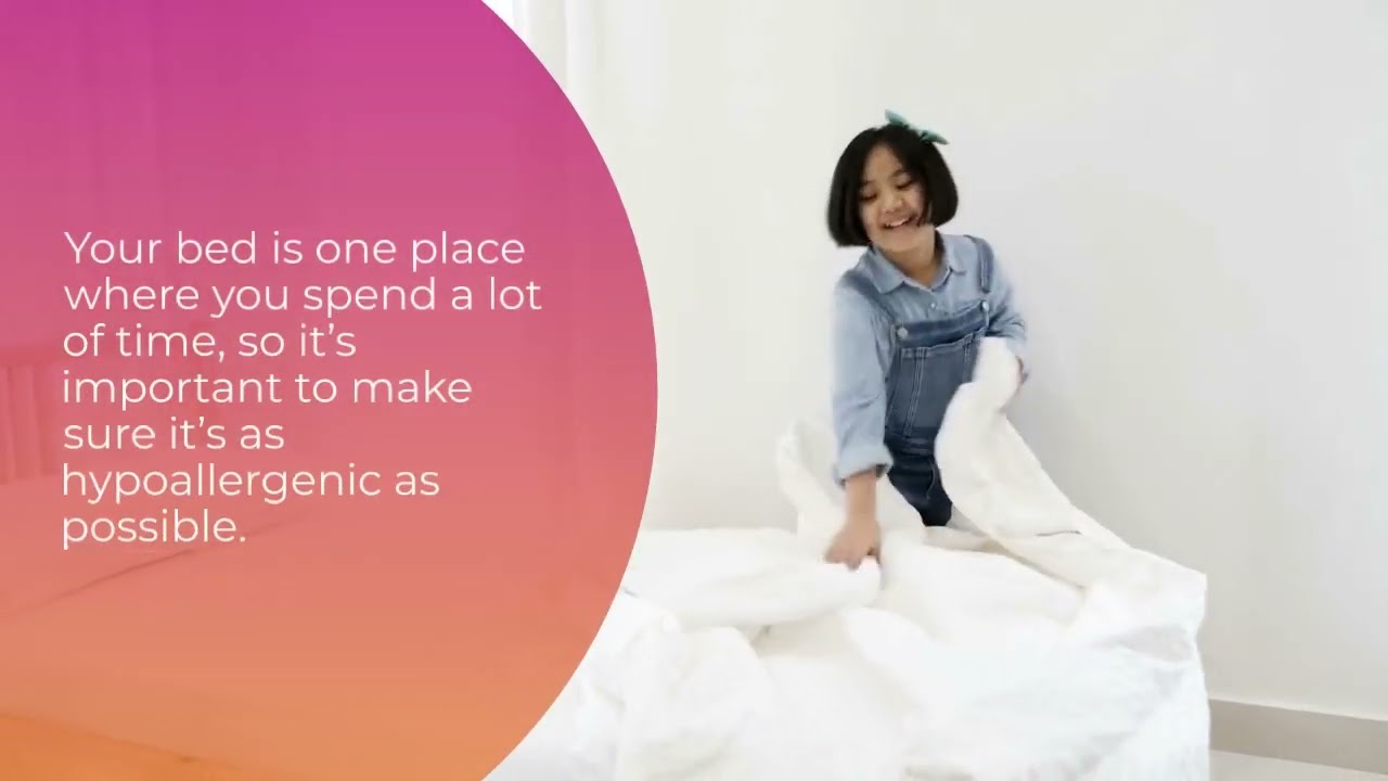 Tips on How to Achieve a Hypoallergenic Home