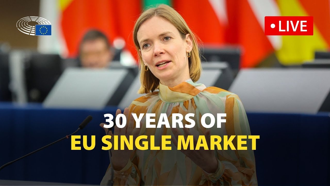 Chat with Anna Cavazzini, chair of internal market committee, on the future of the single market