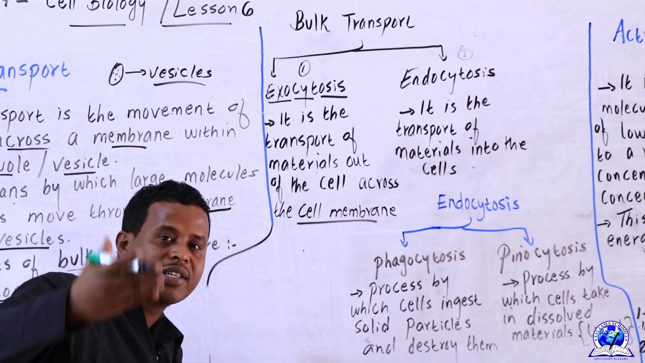 FORM 4 II BIOLOGY II CHAPTER 7: CELL BIOLOGY II LESSON 5