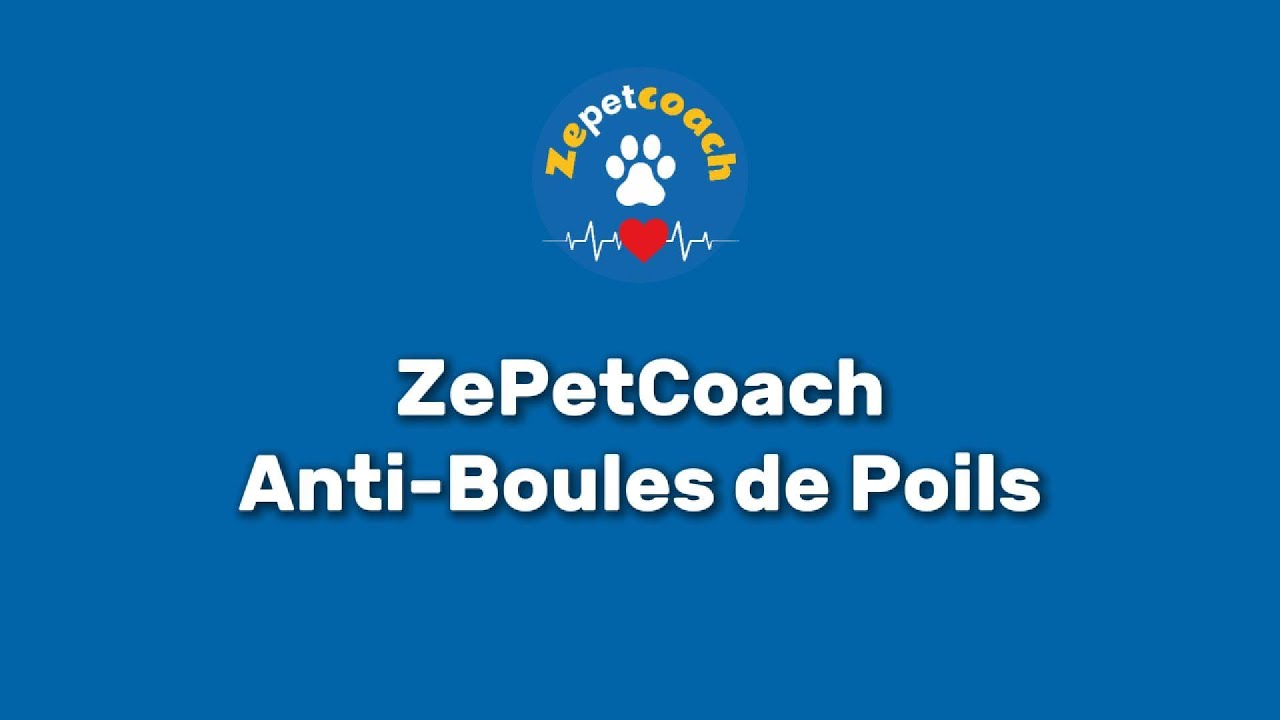 En finir avec les troubles liés aux boules de poils chez le chat !