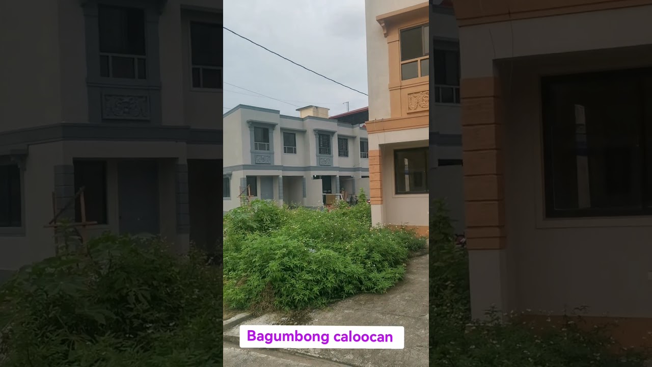 Bagumbong caloocan #houseforsale #seaman #va #virtualassistant #realestate #housetour