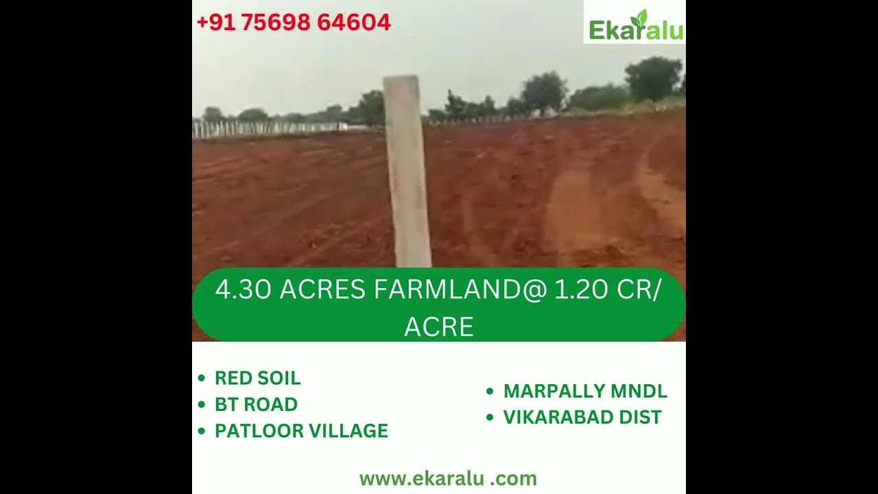 4.30 Acres Farmland, Red Soil, BT Road, Patloor V, Marpally M, Vikarabad Dist, @ 1.20 CR Per Acre
