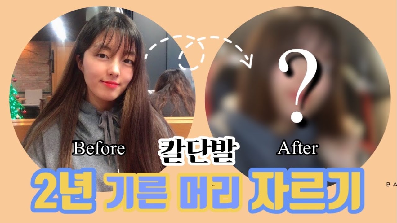 2년동안 기른 긴머리 ➡️ 칼단발 자르기 (토리헤어 커트 만원!! *홍보X) | Haim's vlog