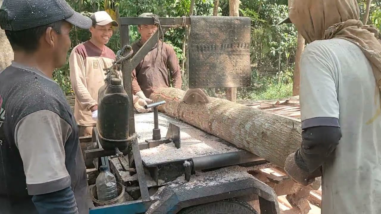 Ketajaman Luar Biasa, Menggergaji Kayu Dengan Gergaji Bundar Rakitan 
