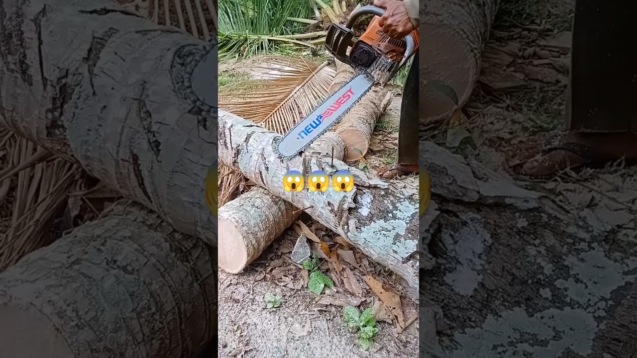Amazing cutting wood coconut#wood#woodworking#shorts