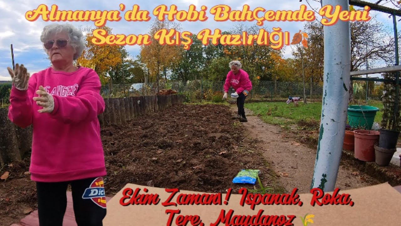 Bugün Almanya’daki Hobi Bahçemde Kışlık Ekim Yaptım 🌿 (Ispanak, Roka, Tere, Maydanoz)