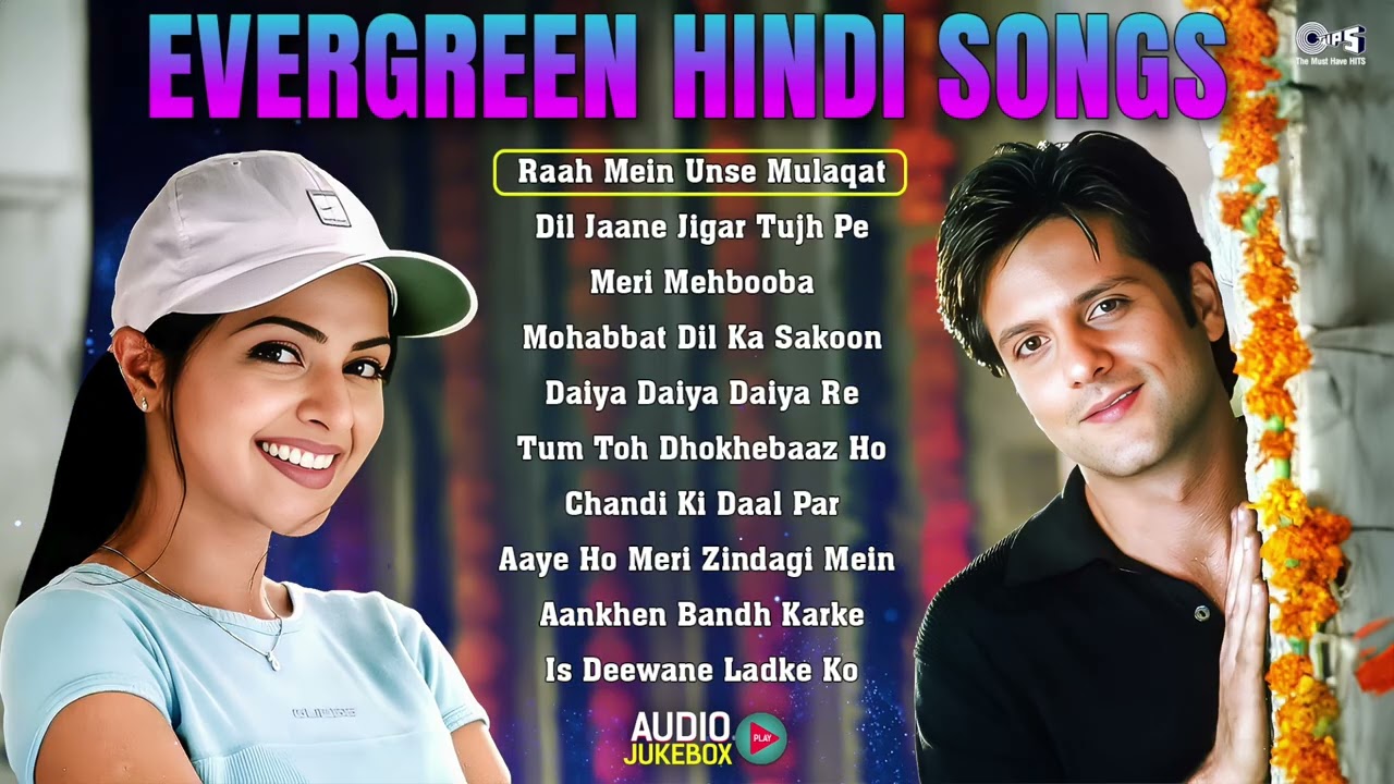 Hindi Sadabahar Geet | Old Is Gold Songs | Audio Jukebox | Alka Yagnik, Udit Narayan, Kumar Sanu