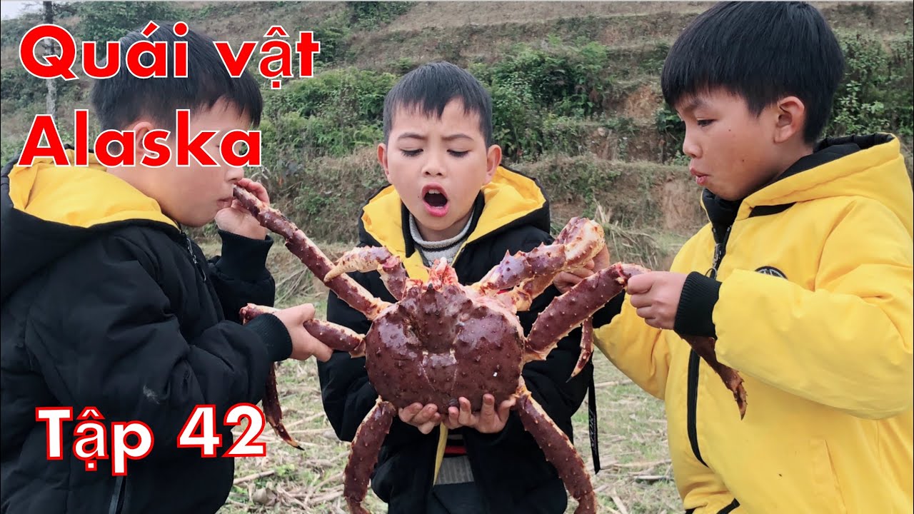 DTVN Vlog : (Tập 42) Bài học nhớ đời cho kẻ giám bắt nạt trẻ trâu ( LẦN ĐẦU ĂN CUA HOÀNG ĐẾ)
