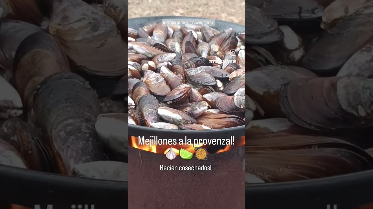 mejillones a la provenzal! Santa Teresa 2026