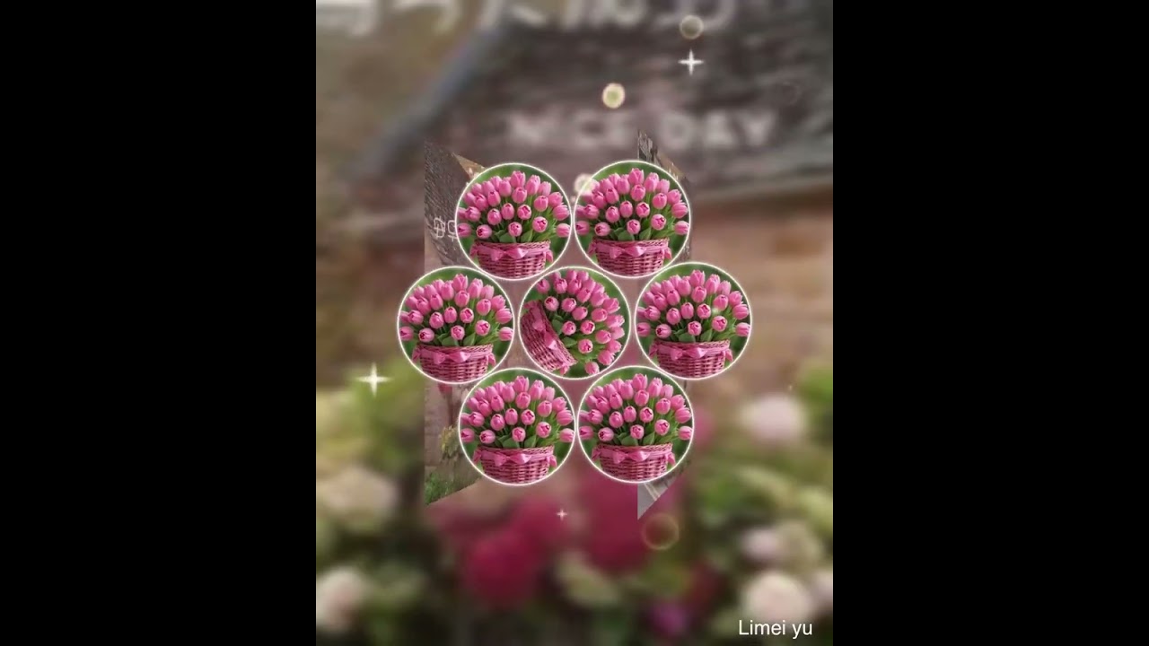 (12)早安