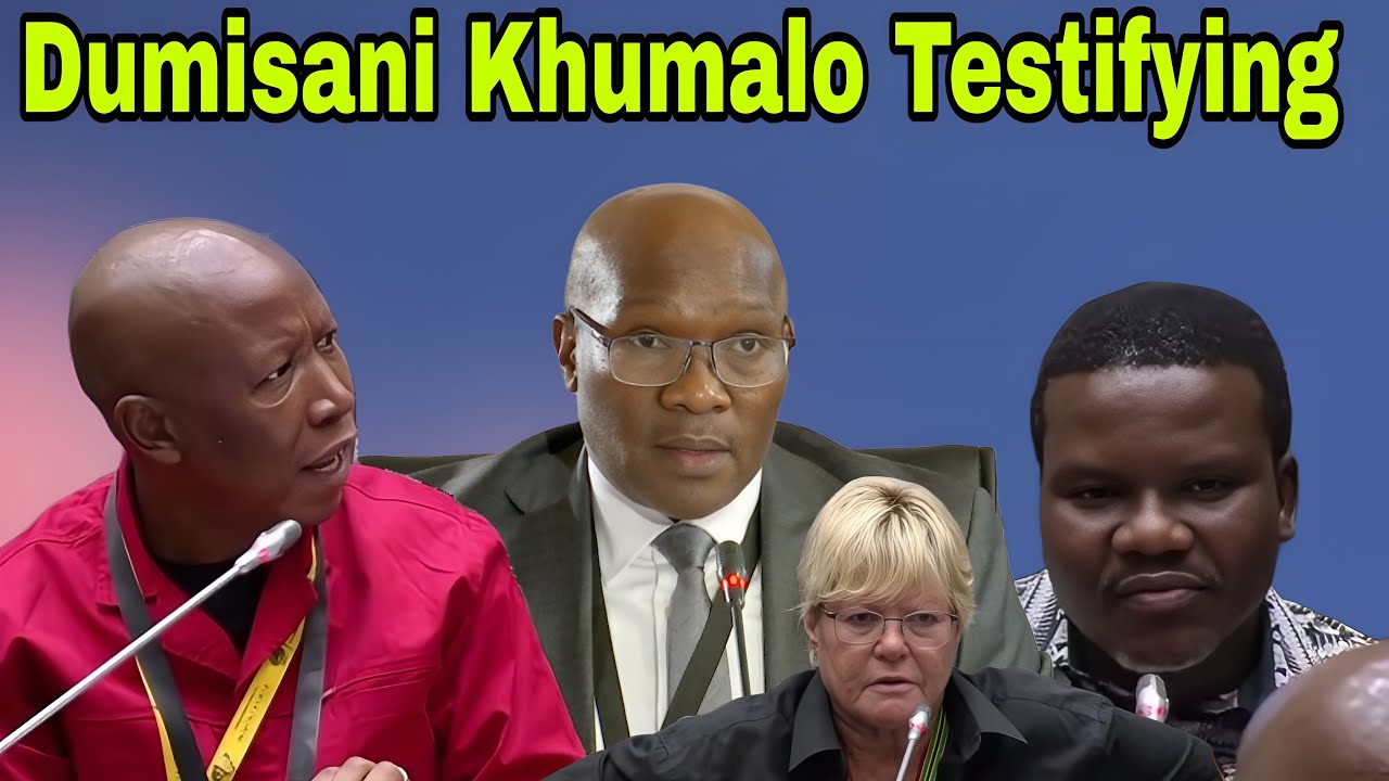 Dumisani Khumalo answer questions from MPS in Parliament.