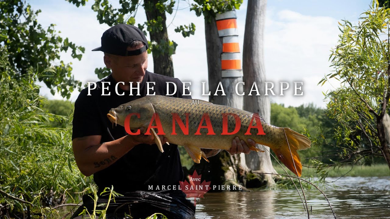Peche de la carpe au Canada 3/3 - Direction le lac Saint Pierre