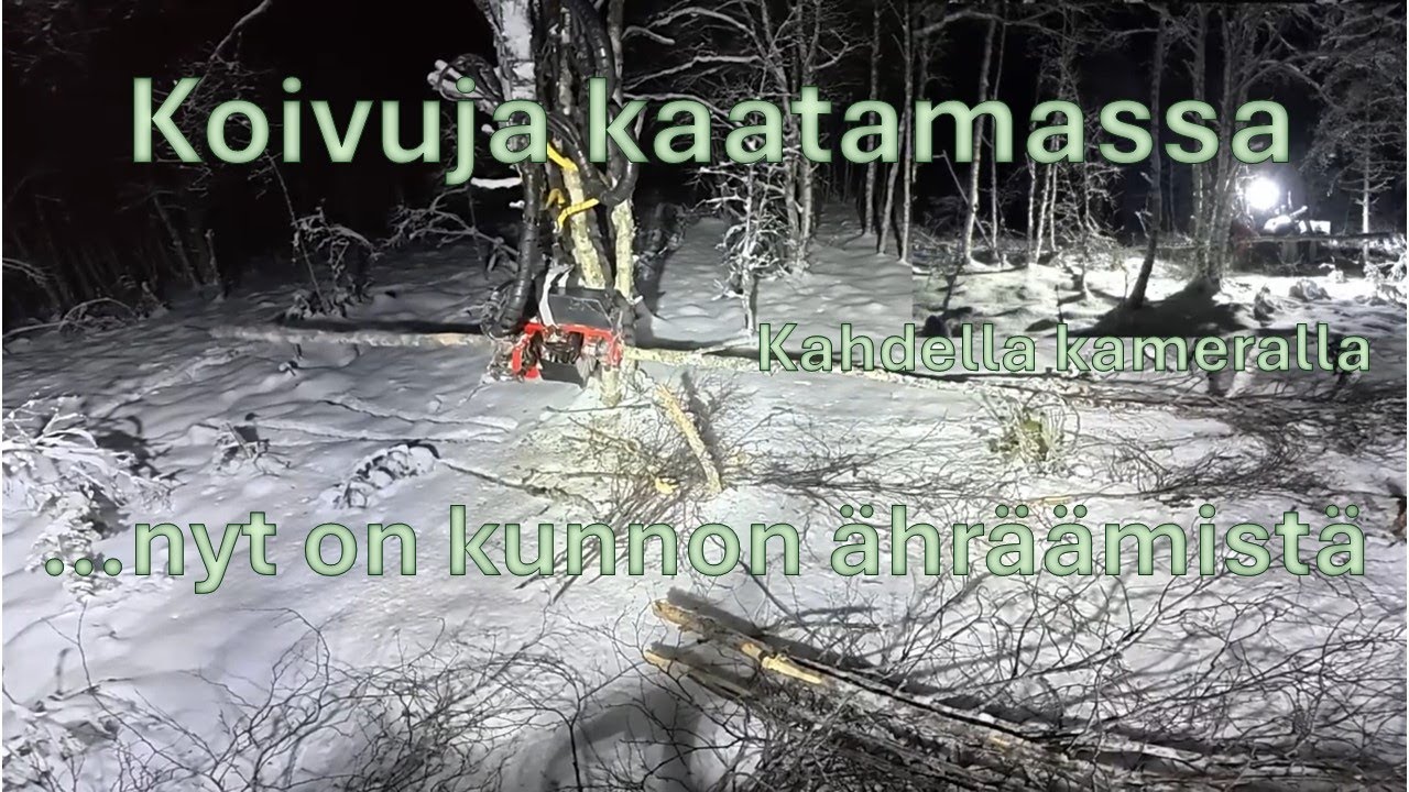 Takaisin metsään. Koivujen kanssa tappelua. #valtra #valmet #nisula